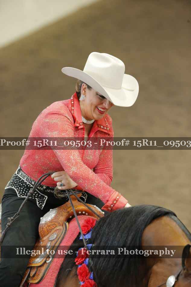 Proof Number 15R11_09503