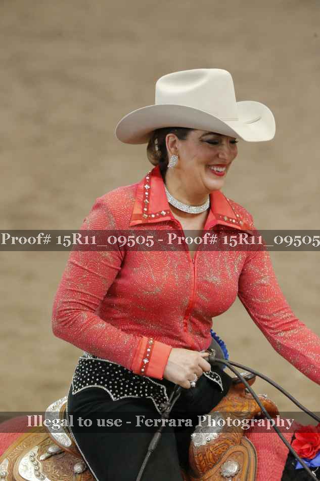 Proof Number 15R11_09505