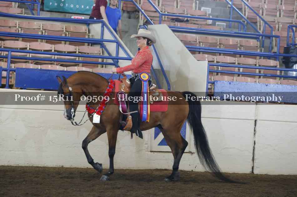 Proof Number 15R11_09509