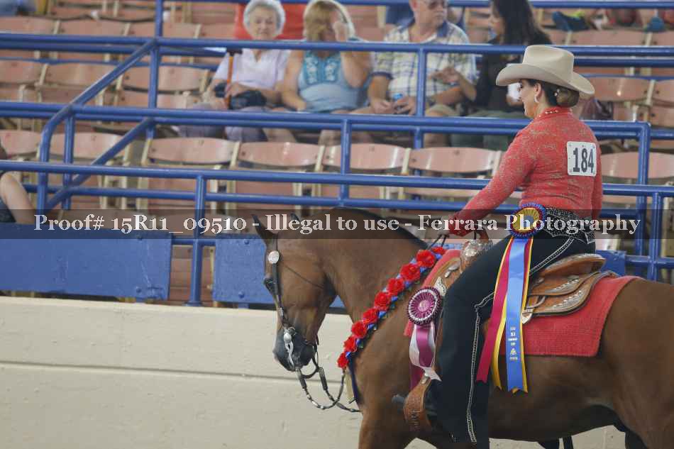 Proof Number 15R11_09510