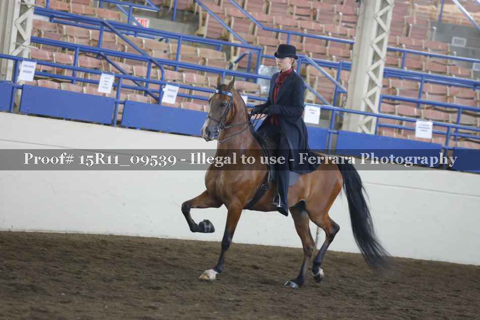 Proof Number 15R11_09539