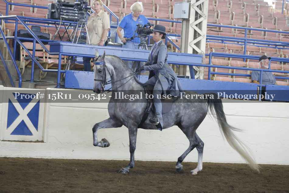 Proof Number 15R11_09542