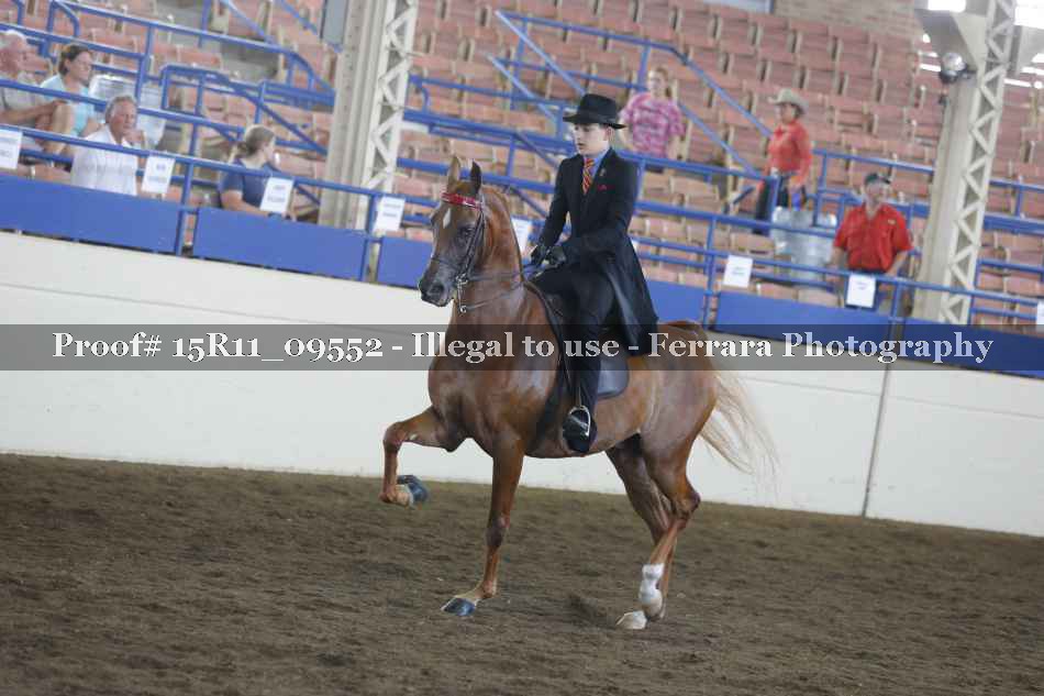 Proof Number 15R11_09552