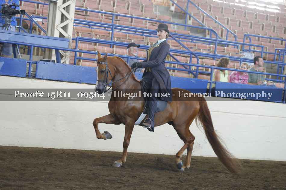 Proof Number 15R11_09564