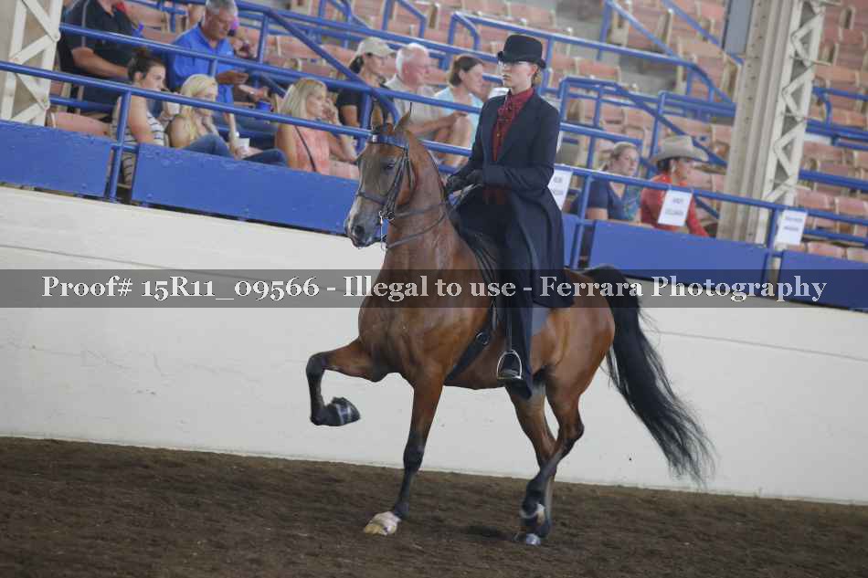 Proof Number 15R11_09566