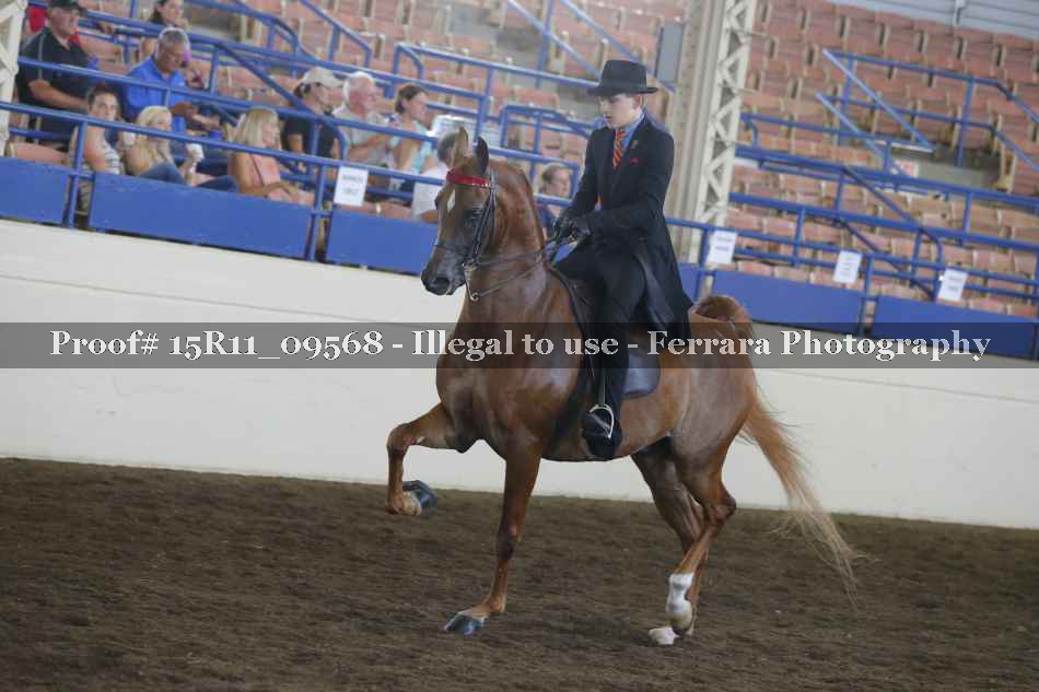 Proof Number 15R11_09568