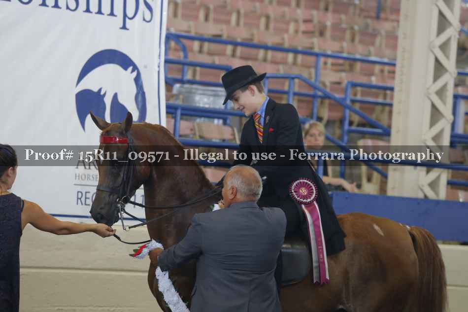 Proof Number 15R11_09571