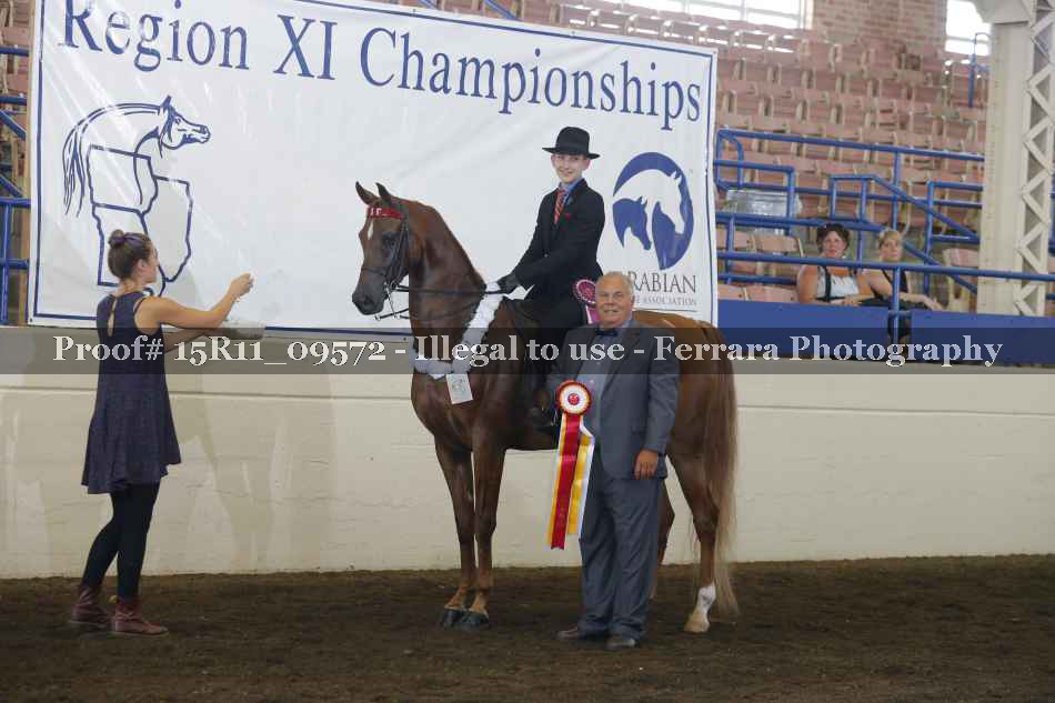 Proof Number 15R11_09572