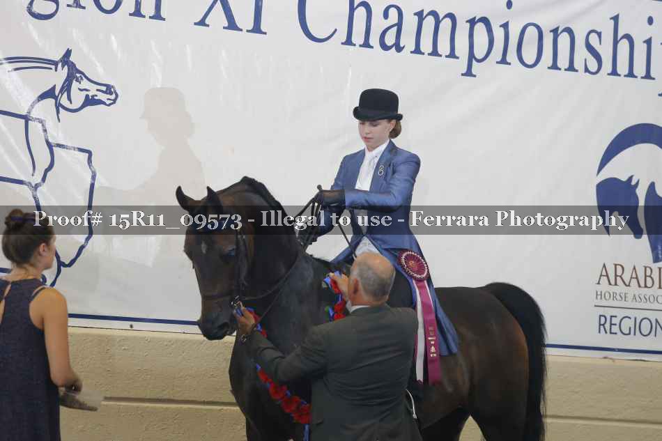 Proof Number 15R11_09573