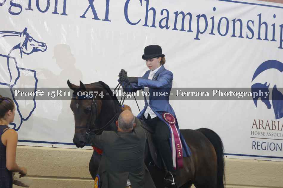 Proof Number 15R11_09574