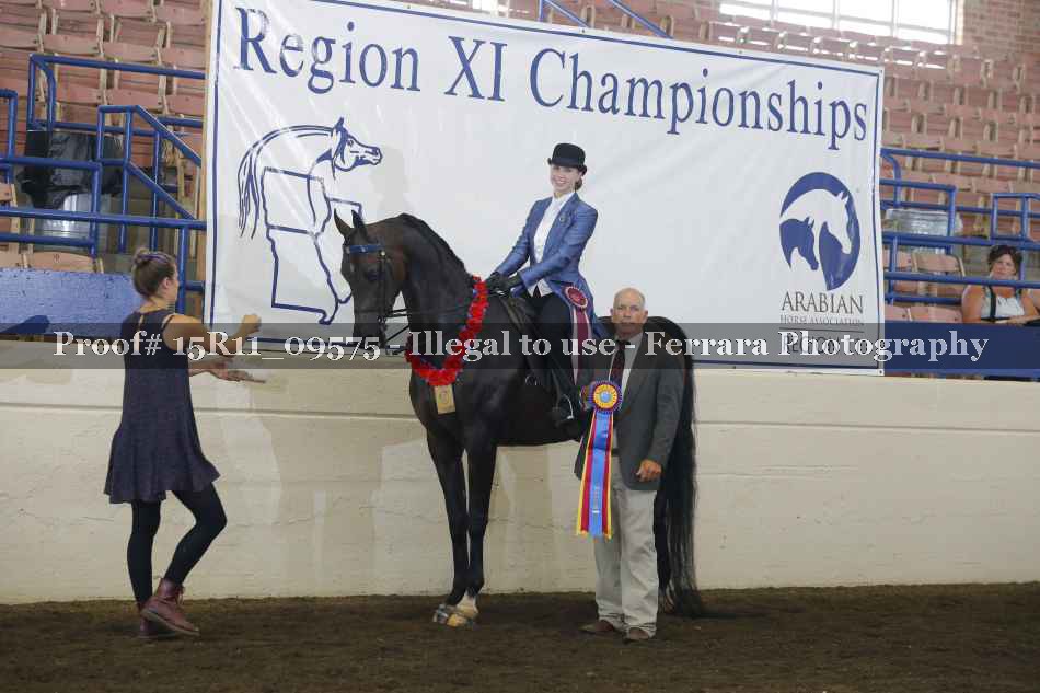 Proof Number 15R11_09575