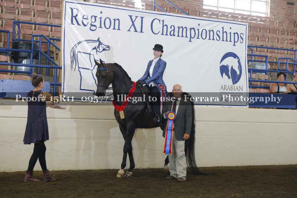Proof Number 15R11_09577