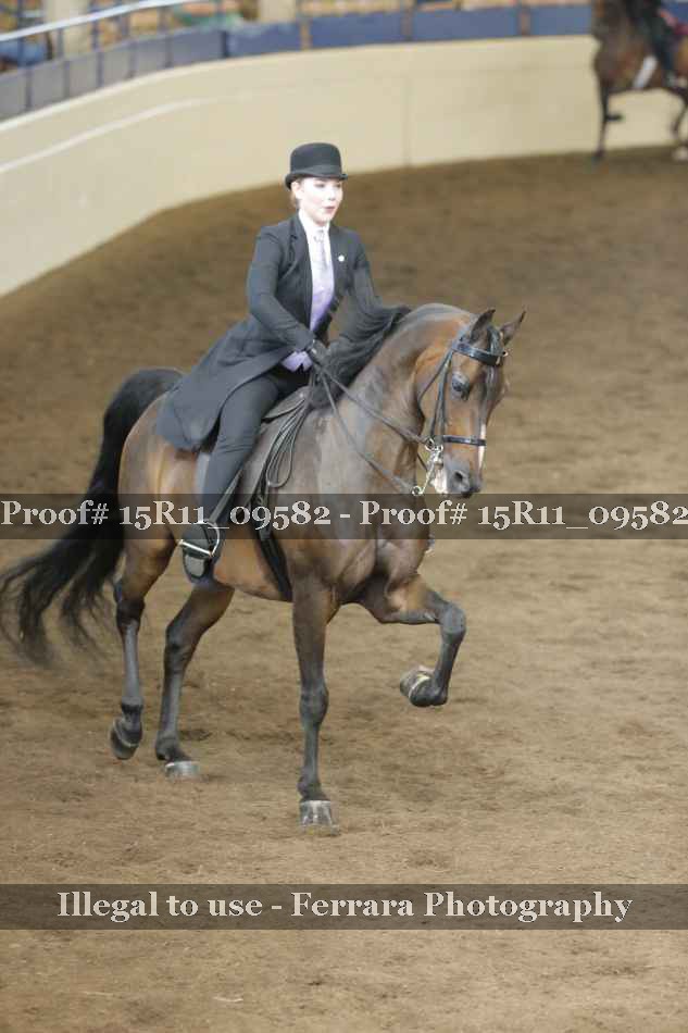 Proof Number 15R11_09582