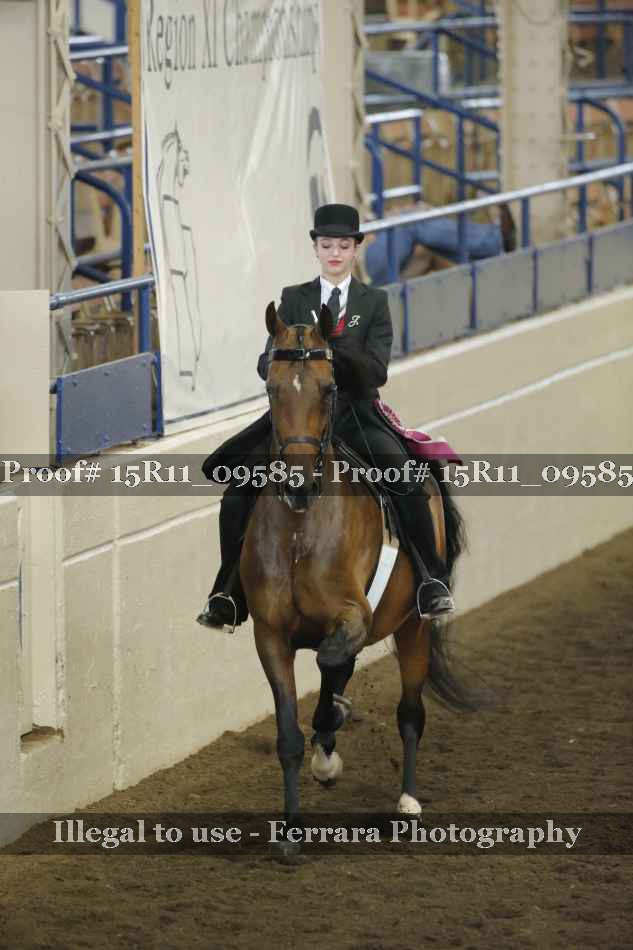 Proof Number 15R11_09585
