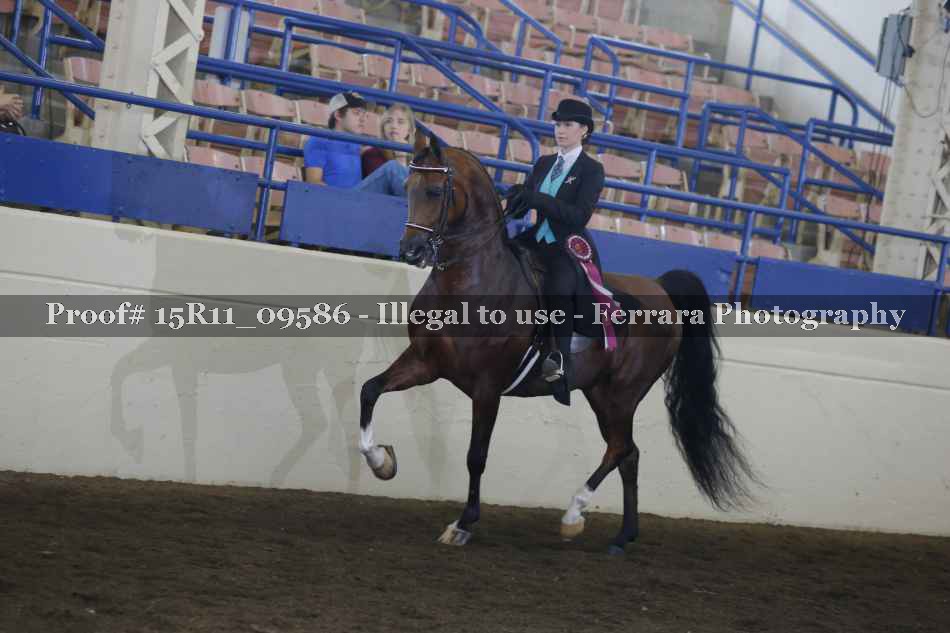 Proof Number 15R11_09586