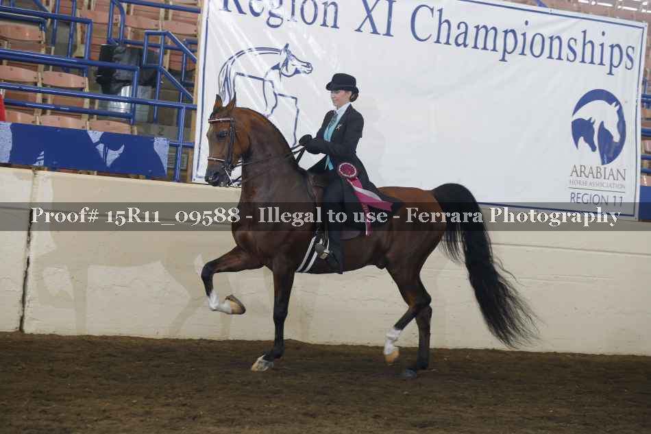 Proof Number 15R11_09588