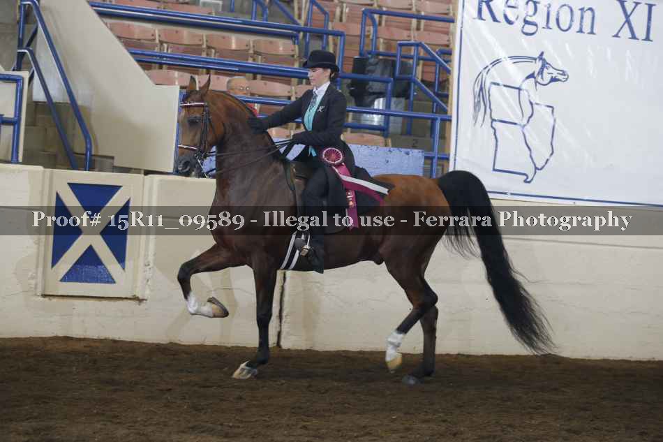 Proof Number 15R11_09589