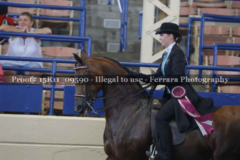 Proof Number 15R11_09590