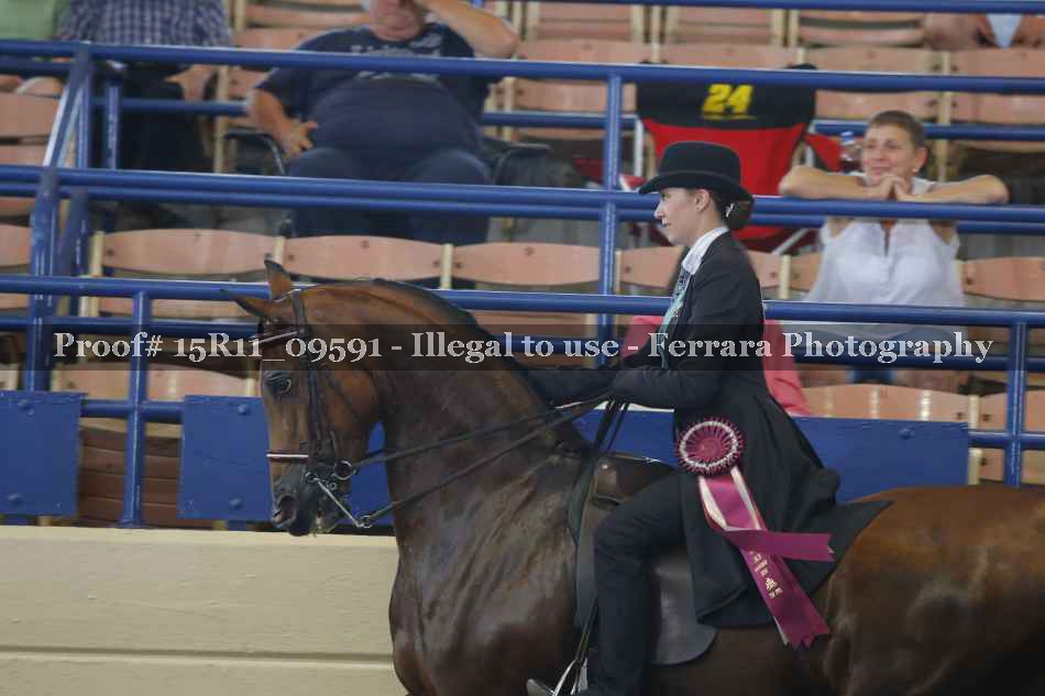 Proof Number 15R11_09591