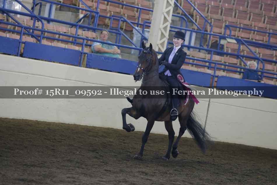 Proof Number 15R11_09592