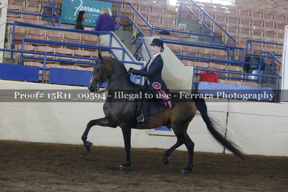 Proof Number 15R11_09594