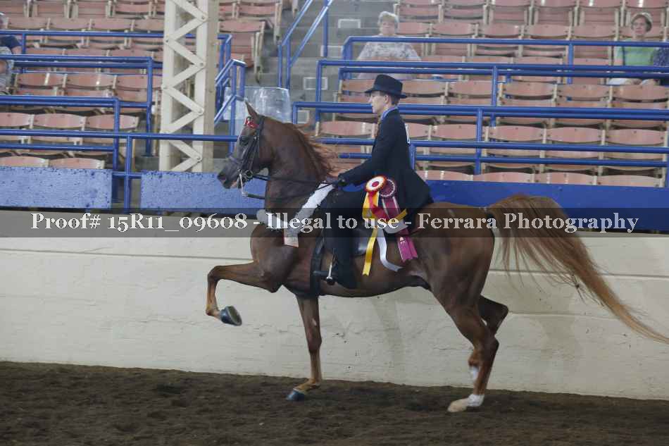 Proof Number 15R11_09608