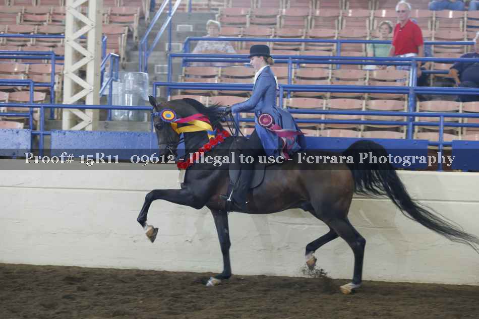 Proof Number 15R11_09612