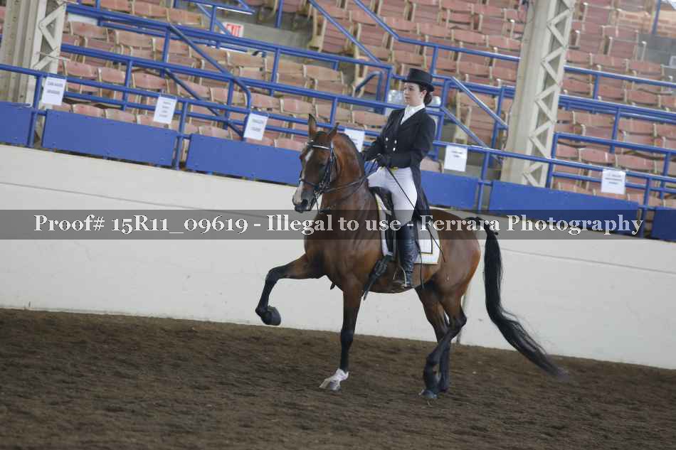 Proof Number 15R11_09619
