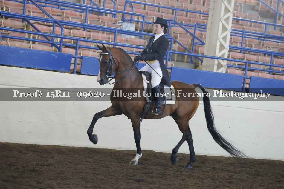 Proof Number 15R11_09620