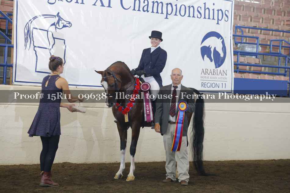 Proof Number 15R11_09638