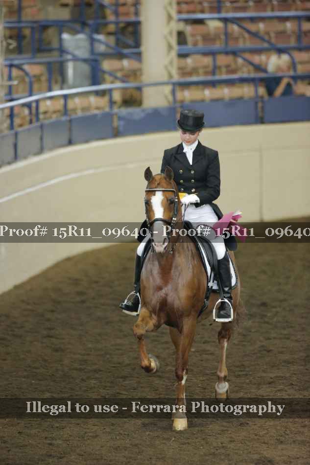 Proof Number 15R11_09640