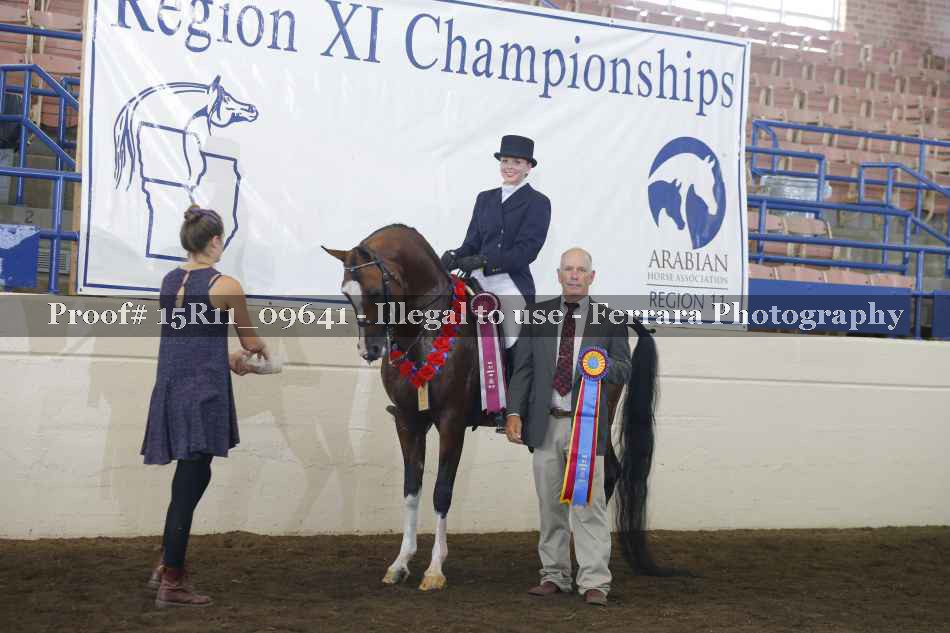 Proof Number 15R11_09641