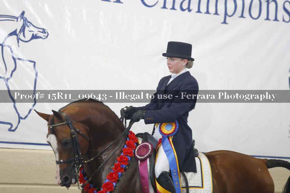 Proof Number 15R11_09643