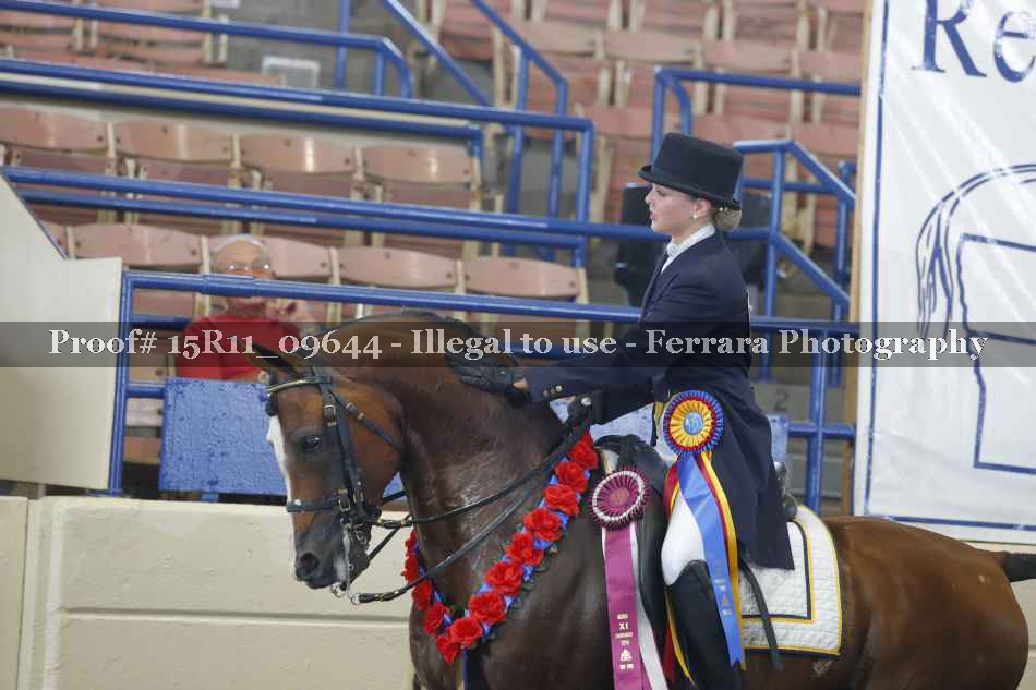Proof Number 15R11_09644