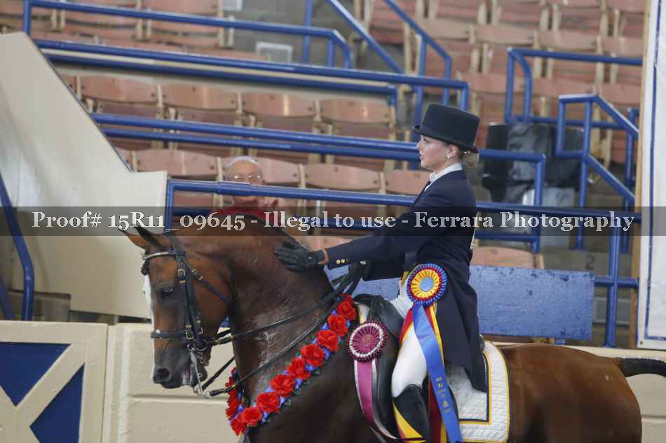 Proof Number 15R11_09645