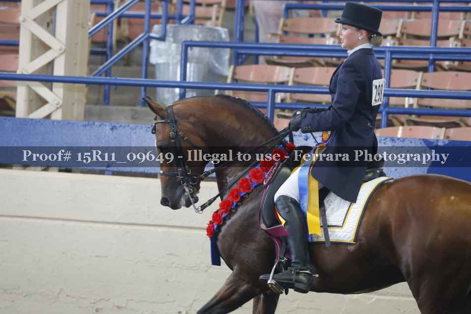 Proof Number 15R11_09649