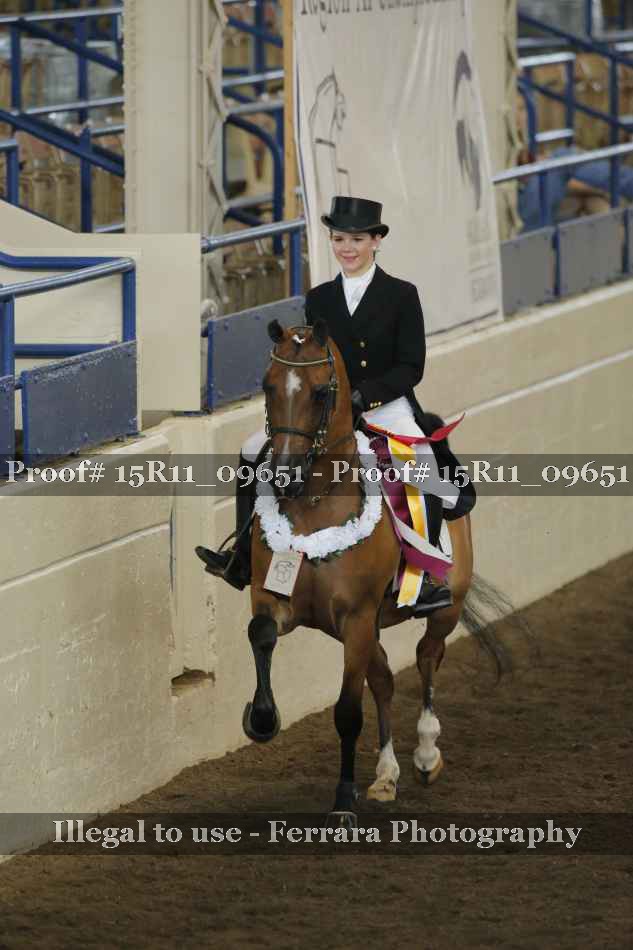 Proof Number 15R11_09651