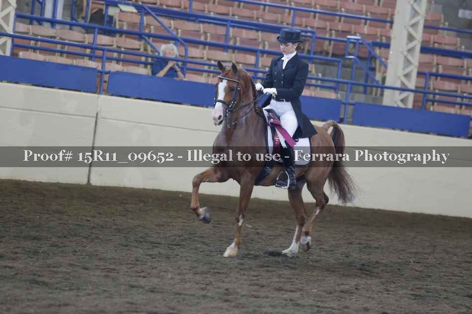 Proof Number 15R11_09652