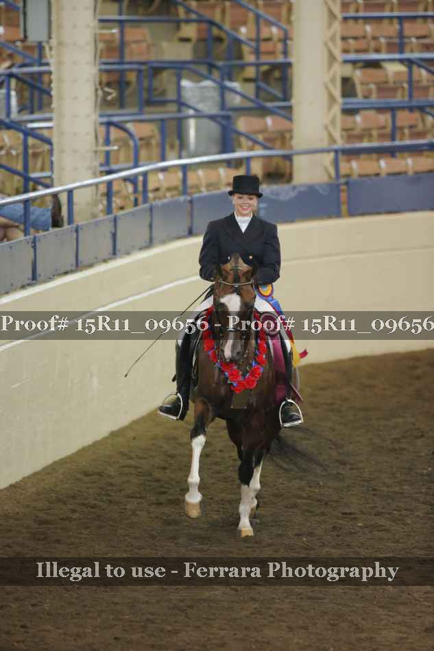 Proof Number 15R11_09656
