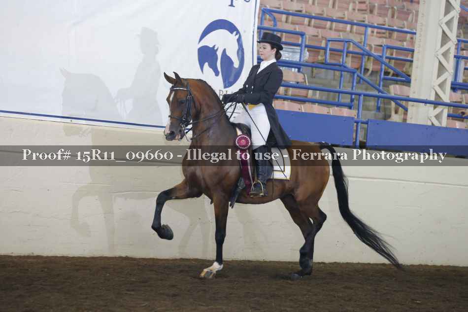 Proof Number 15R11_09660