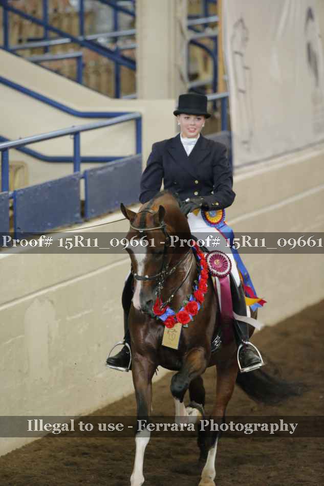 Proof Number 15R11_09661