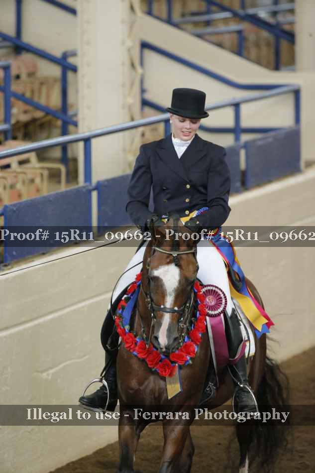 Proof Number 15R11_09662