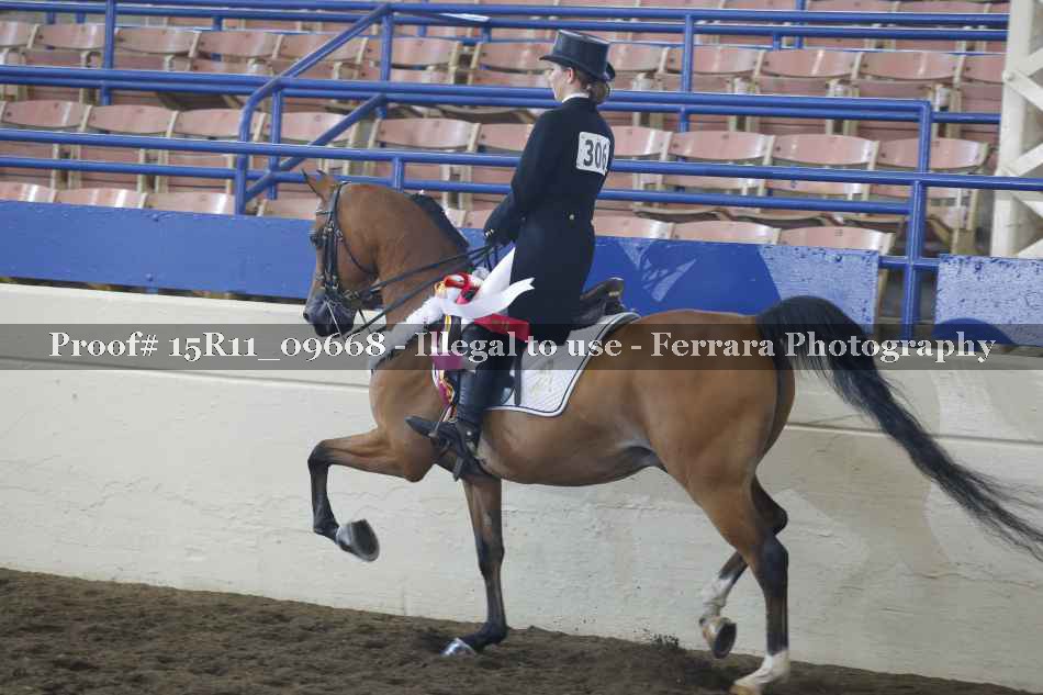 Proof Number 15R11_09668