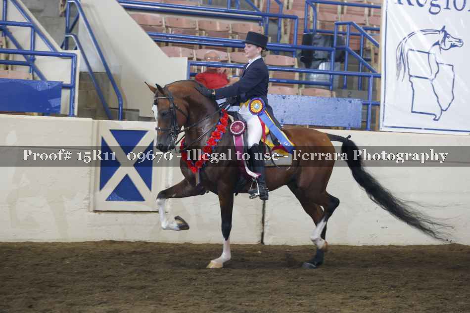 Proof Number 15R11_09670