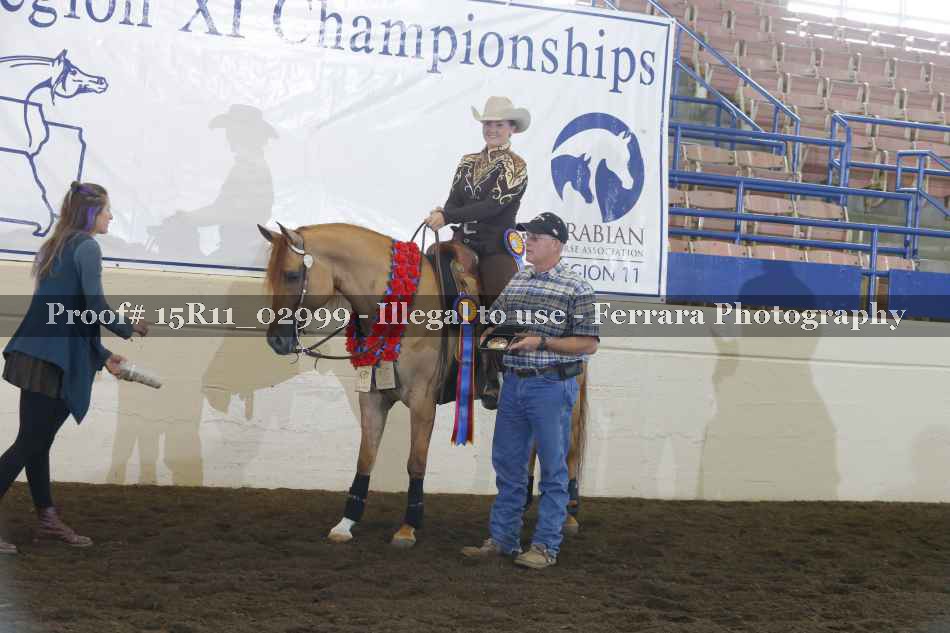 Proof Number 15R11_02999