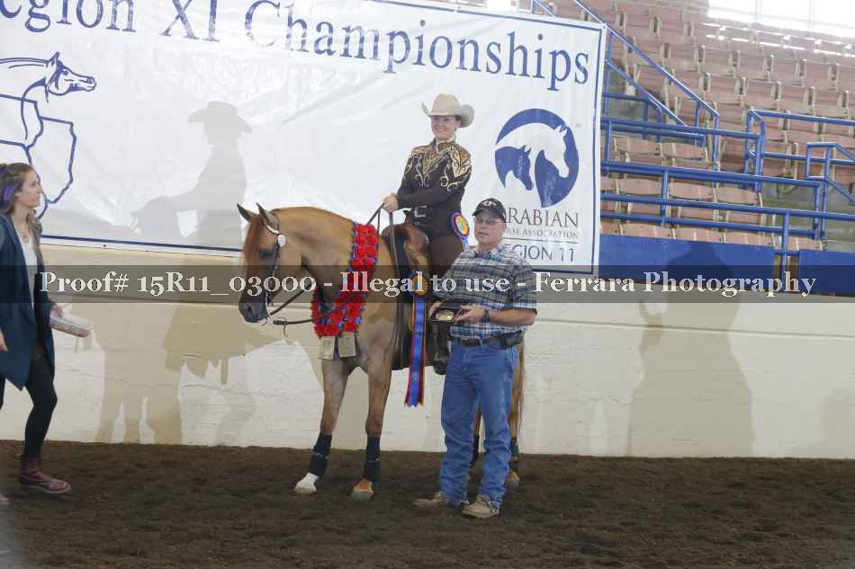 Proof Number 15R11_03000