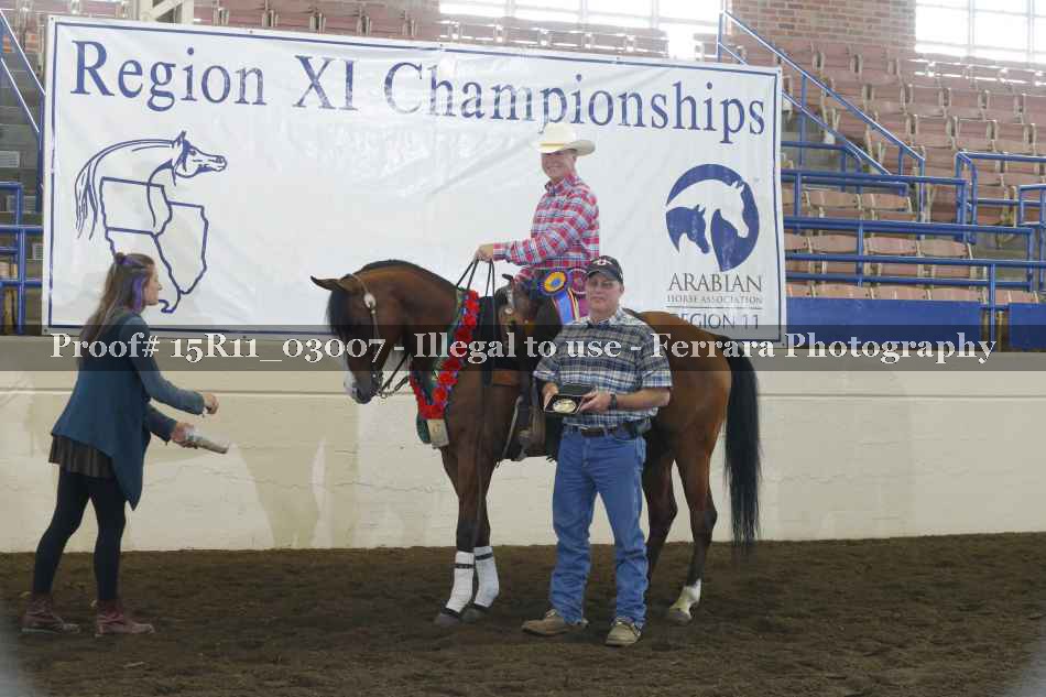 Proof Number 15R11_03007