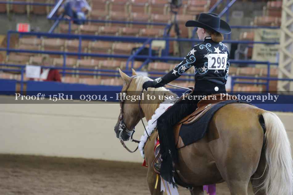 Proof Number 15R11_03014