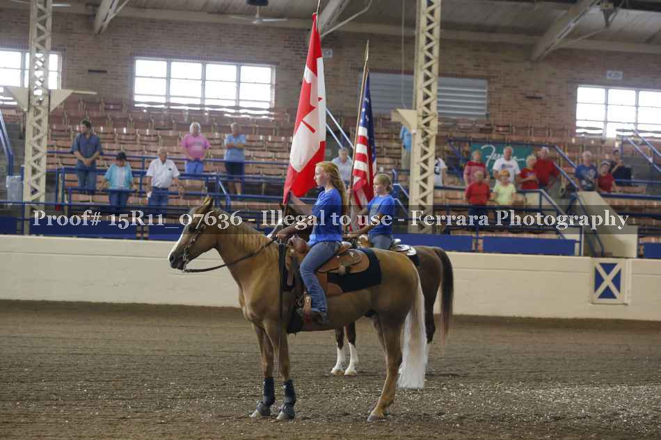 Proof Number 15R11_07636