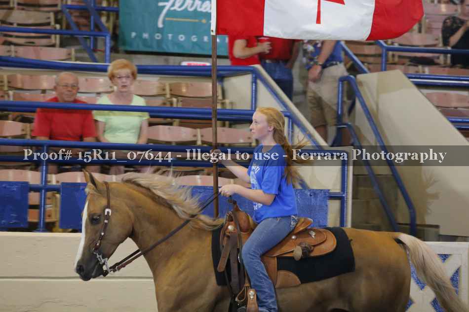 Proof Number 15R11_07644